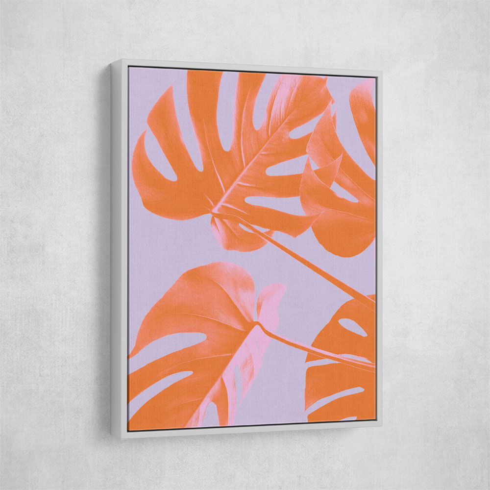 Monstera Purple 04 Monstera Purple 04