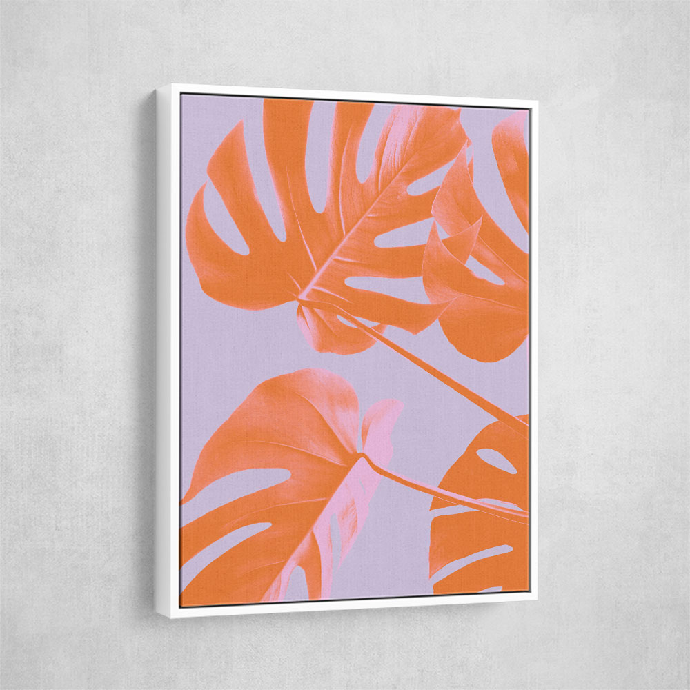 Monstera Purple 04 Monstera Purple 04