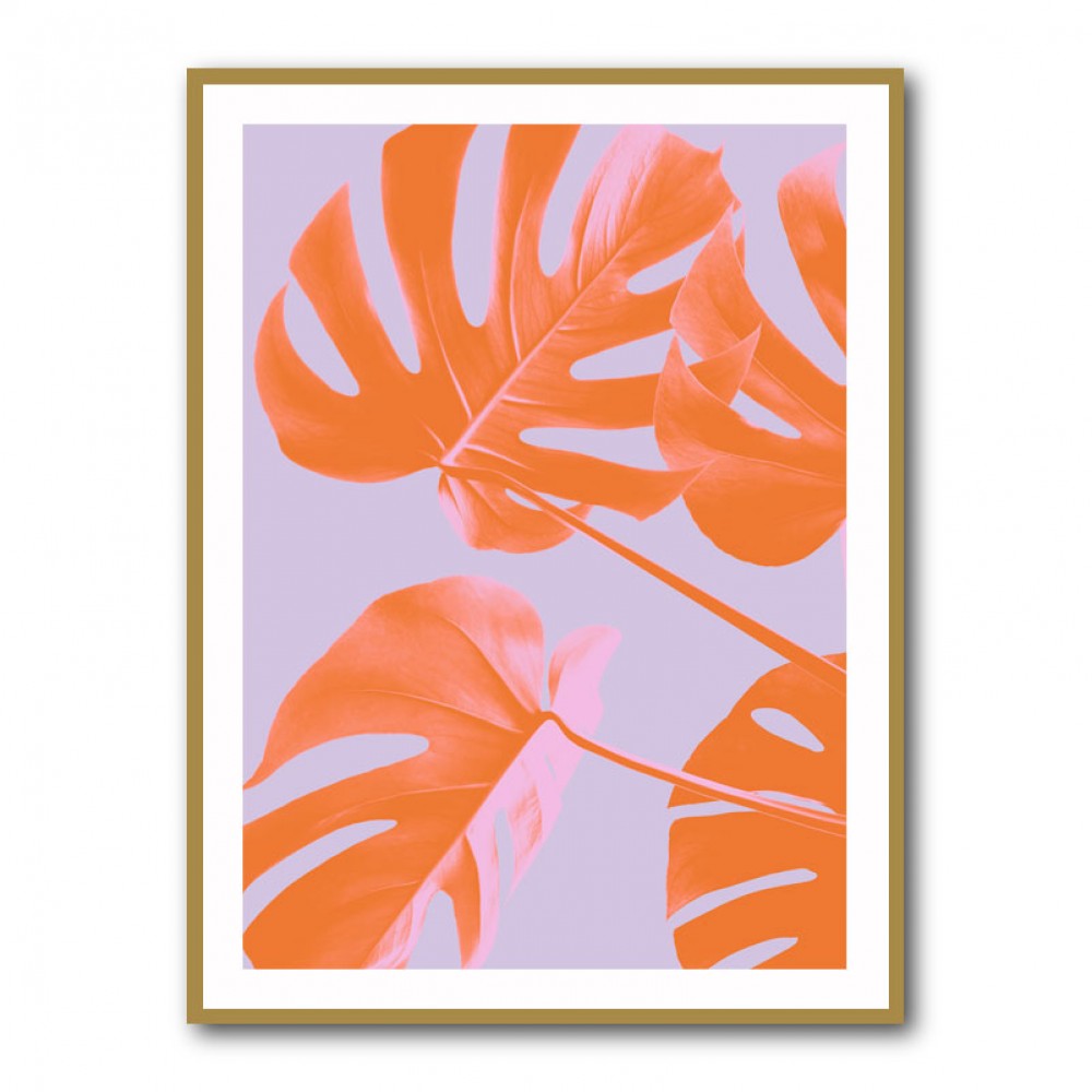 Monstera Purple 04