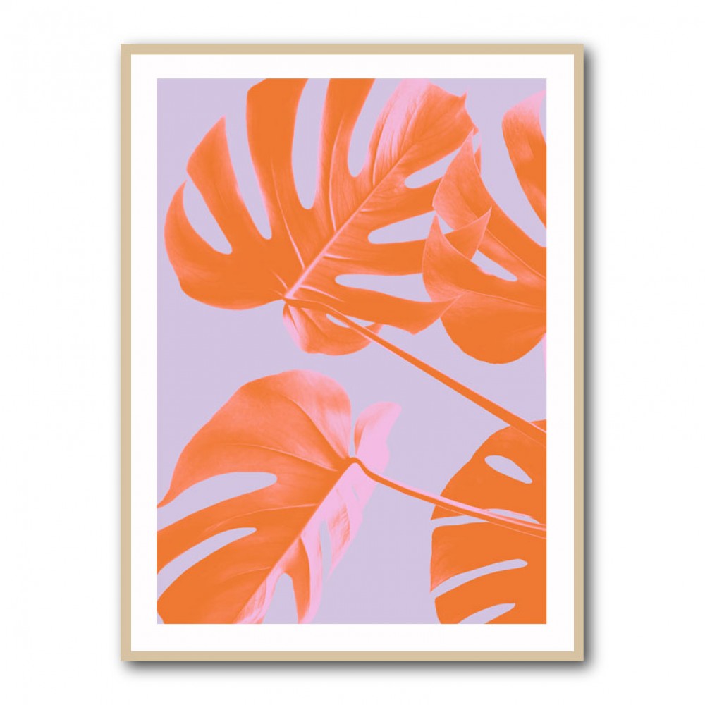Monstera Purple 04 Monstera Purple 04