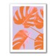 Monstera Purple 04 Monstera Purple 04