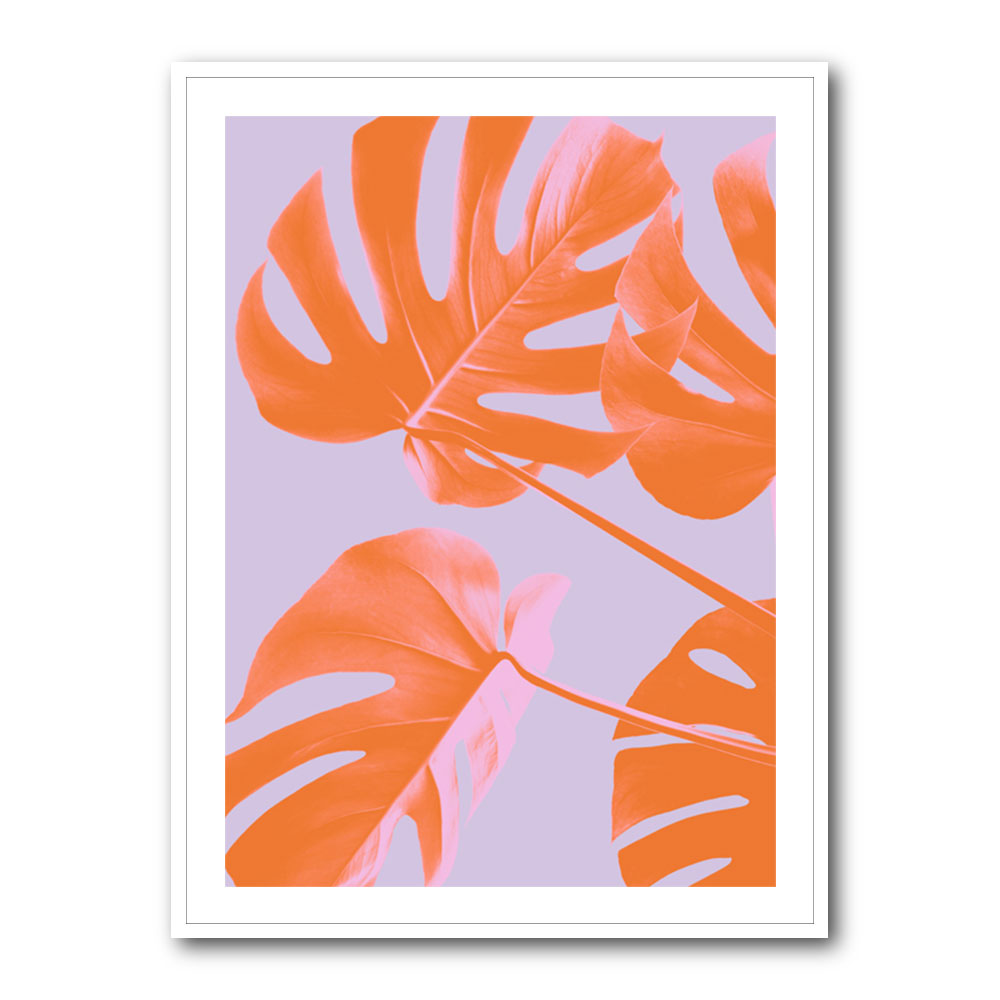 Monstera Purple 04 Monstera Purple 04
