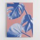 Monstera Purple 05