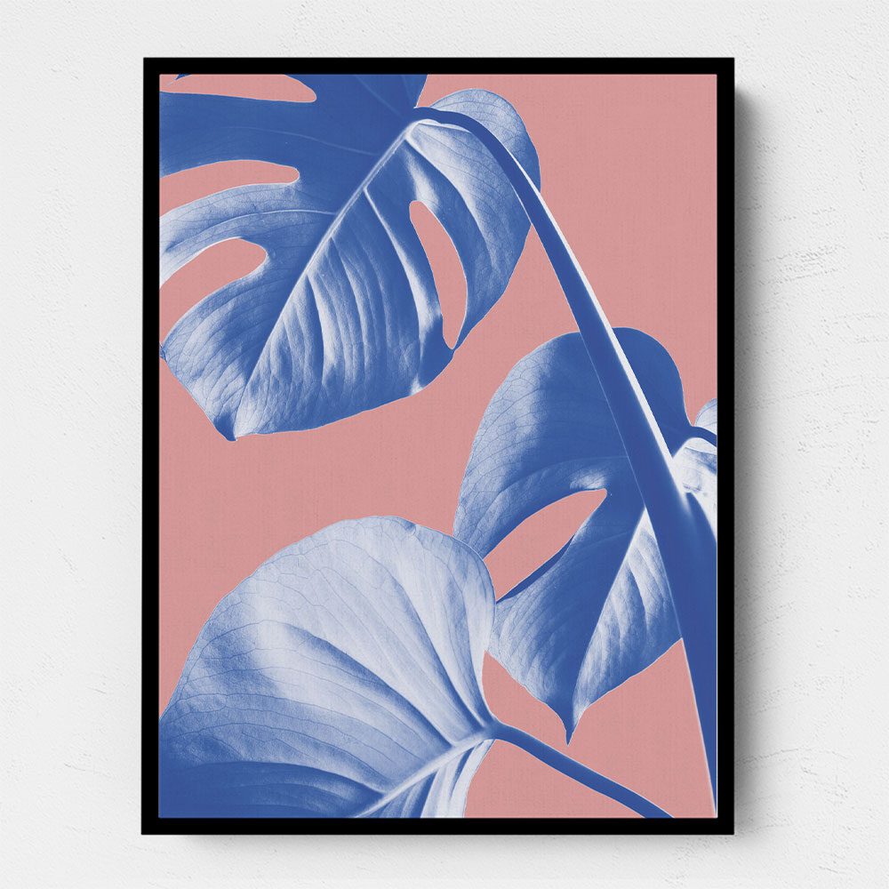 Monstera Purple 05