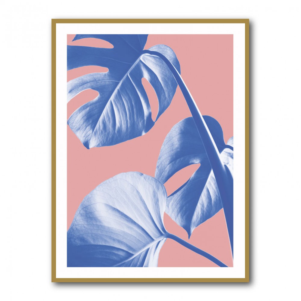 Monstera Purple 05