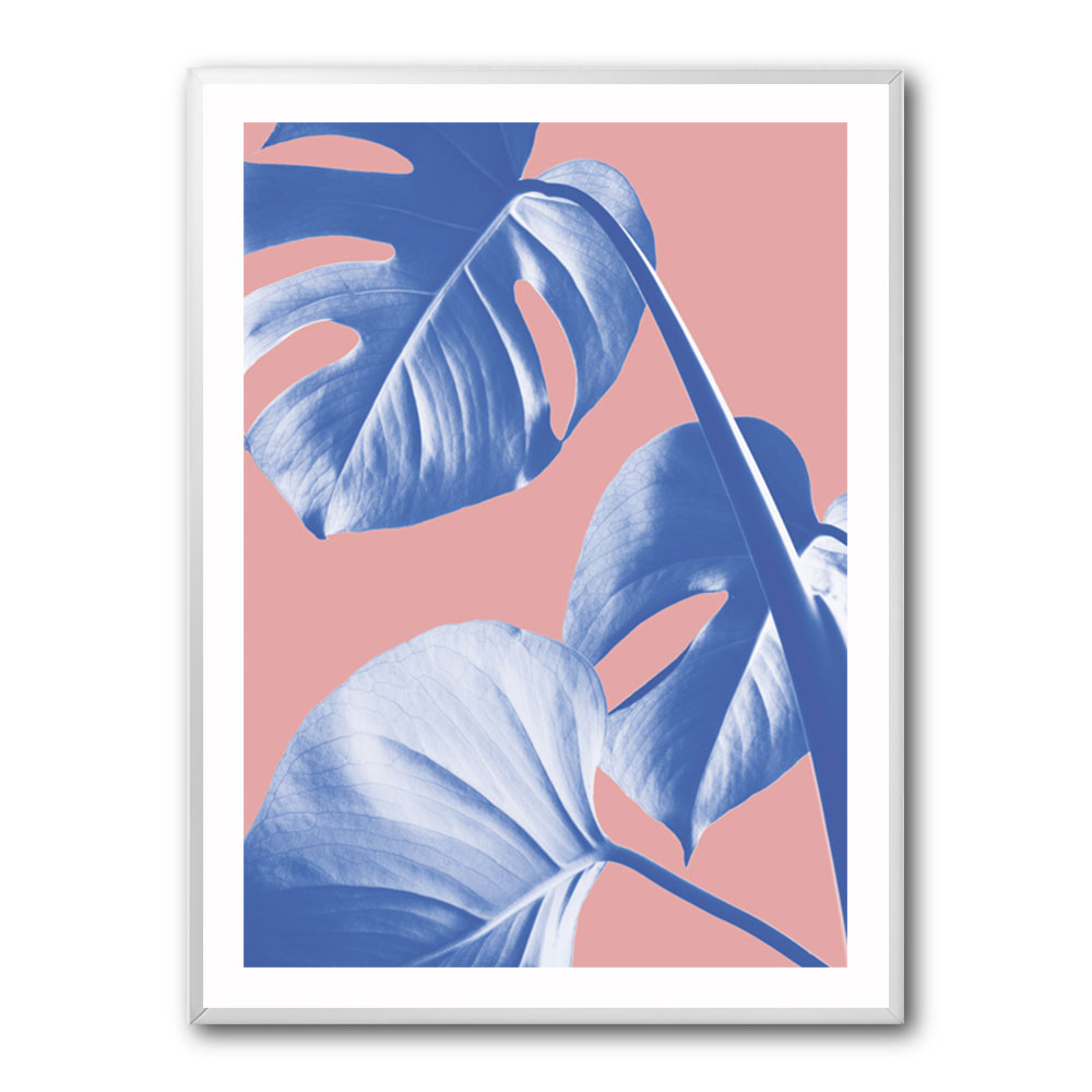 Monstera Purple 05