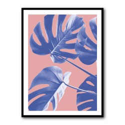 Monstera Purple 06