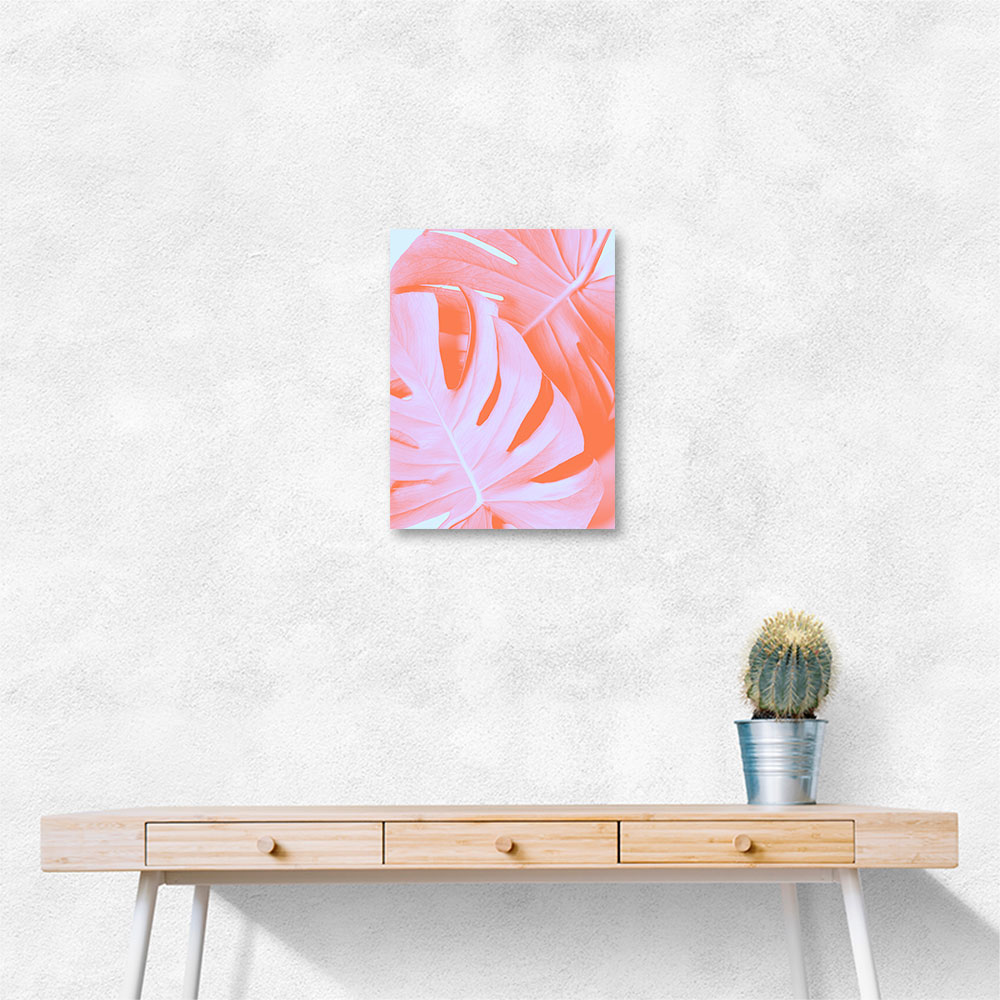Monstera Orange 03 Monstera Orange 03