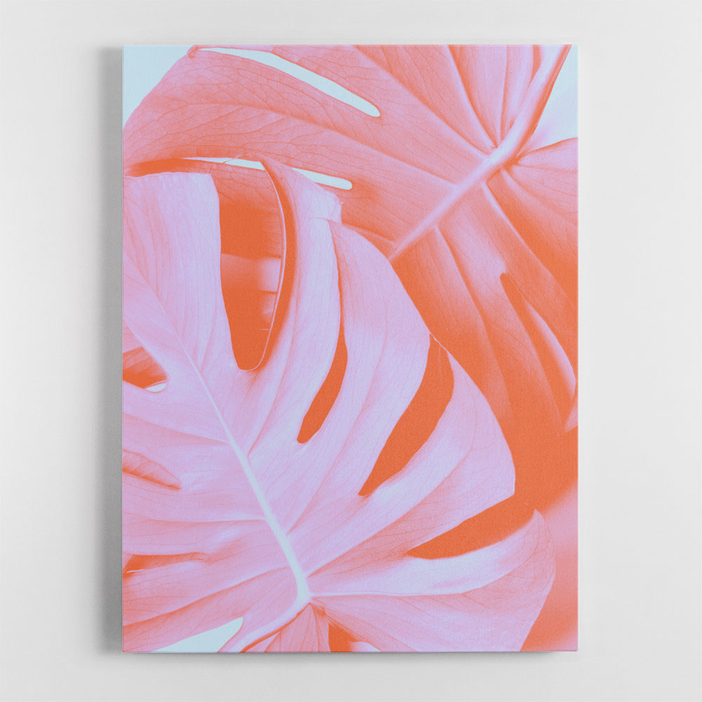 Monstera Orange 03