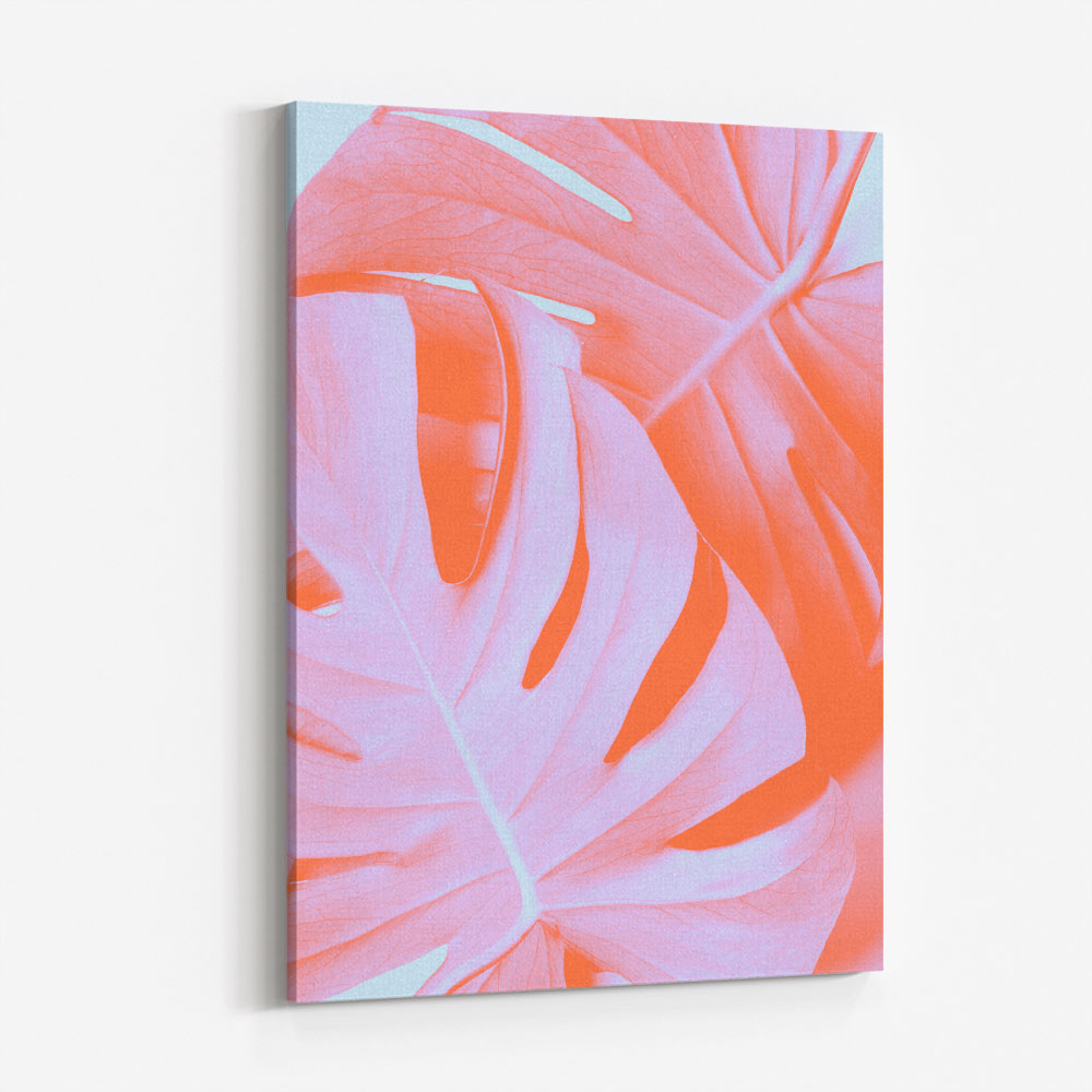 Monstera Orange 03