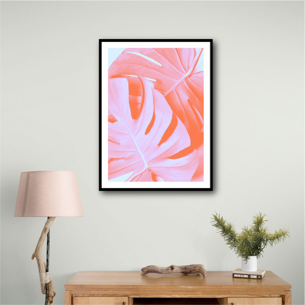 Monstera Orange 03 Monstera Orange 03