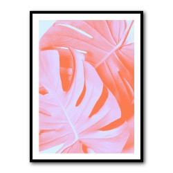 Monstera Orange 03