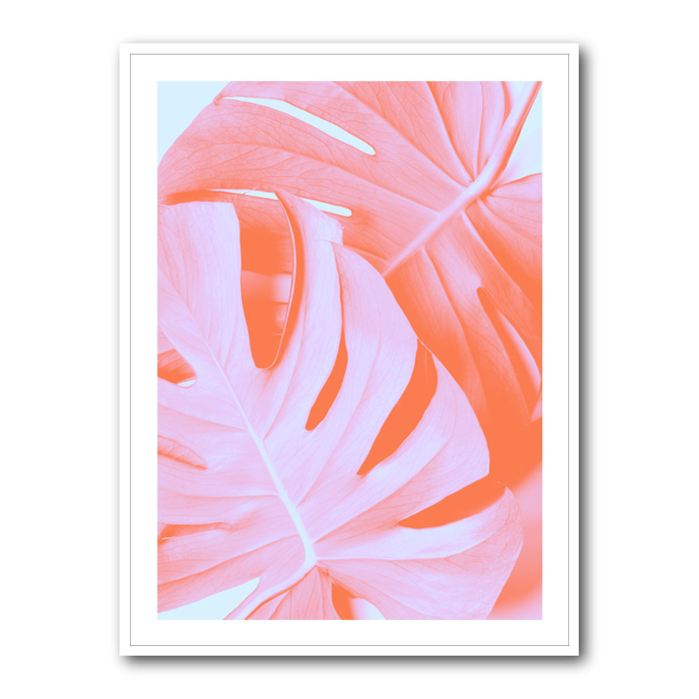 Monstera Orange 03