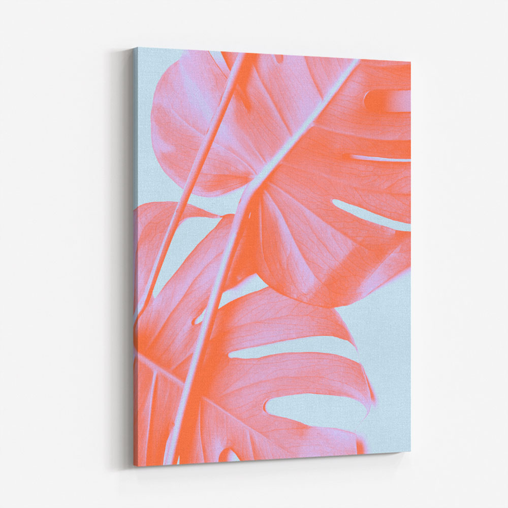 Monstera Orange 04