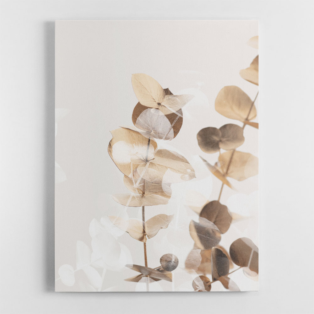 Eucalyptus Creative Gold 01