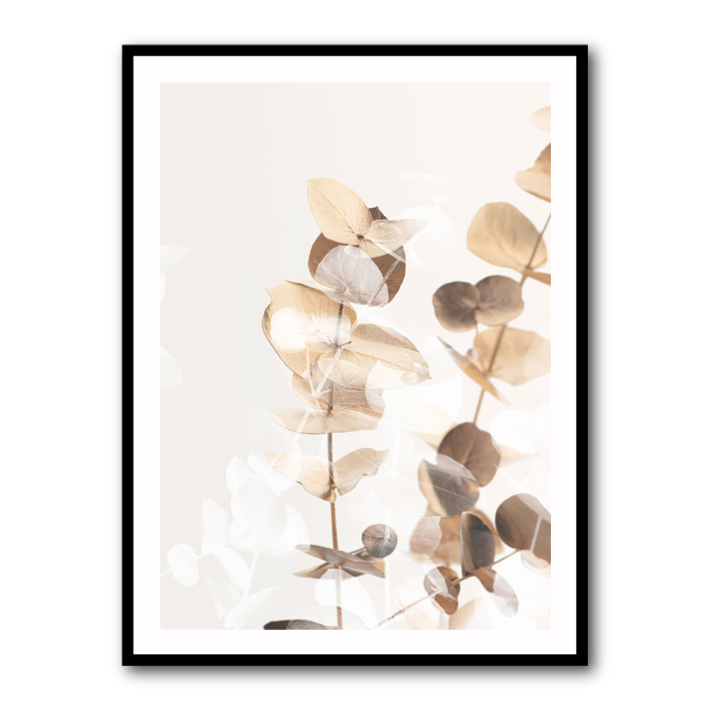 Eucalyptus Creative Gold 01