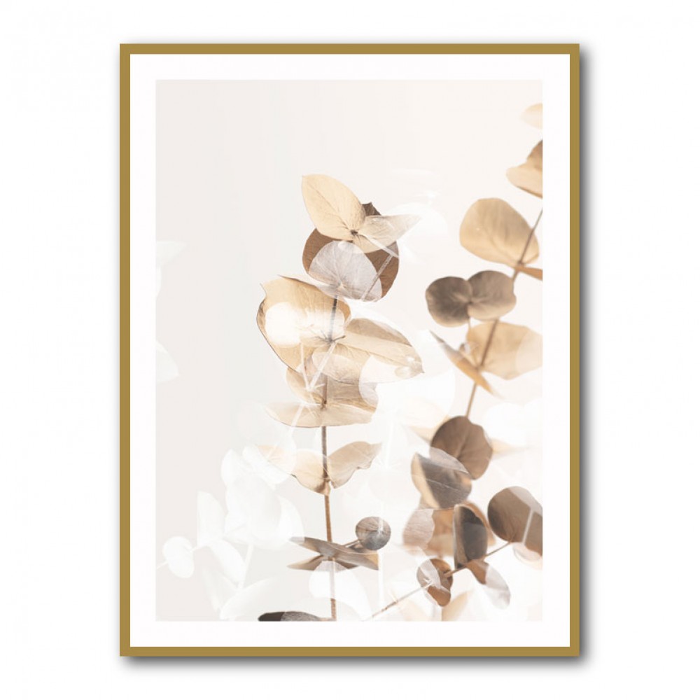 Eucalyptus Creative Gold 01