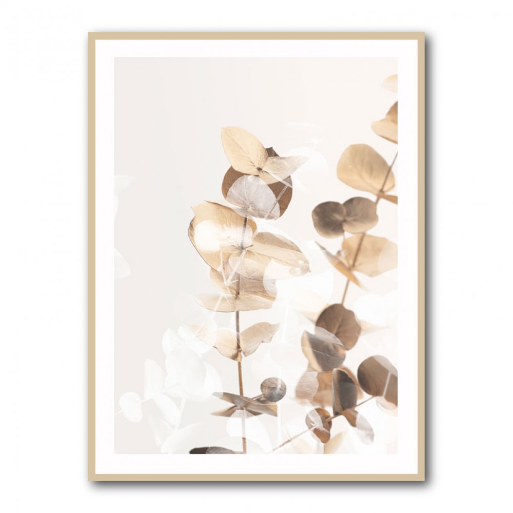 Eucalyptus Creative Gold 01