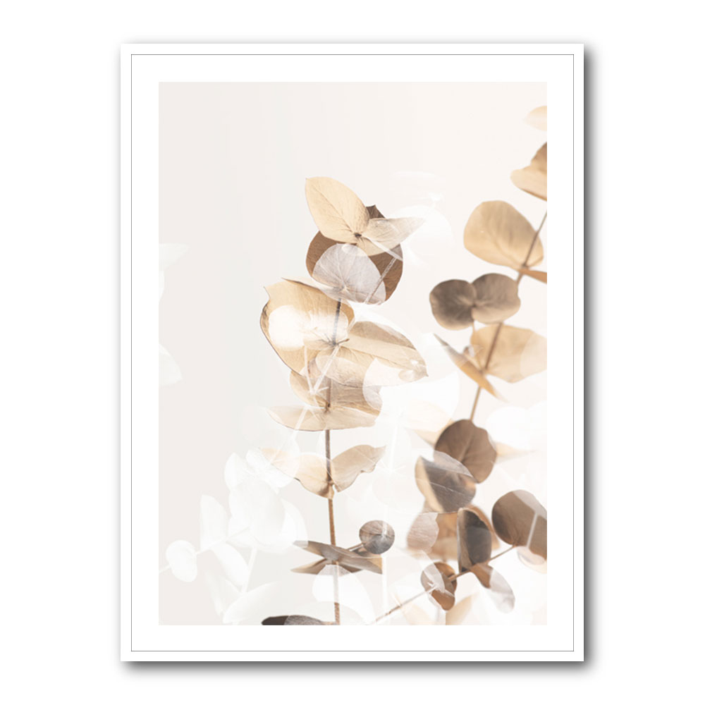 Eucalyptus Creative Gold 01