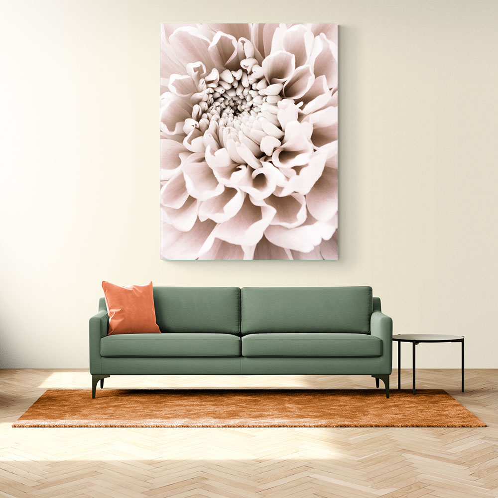 Chrysanthemum No 01 Chrysanthemum No 01