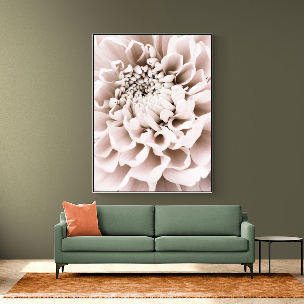 Chrysanthemum No 01 Chrysanthemum No 01