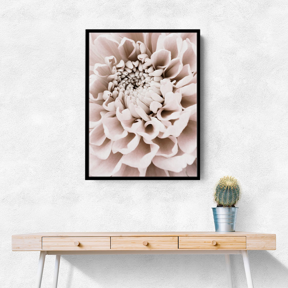 Chrysanthemum No 01 Chrysanthemum No 01