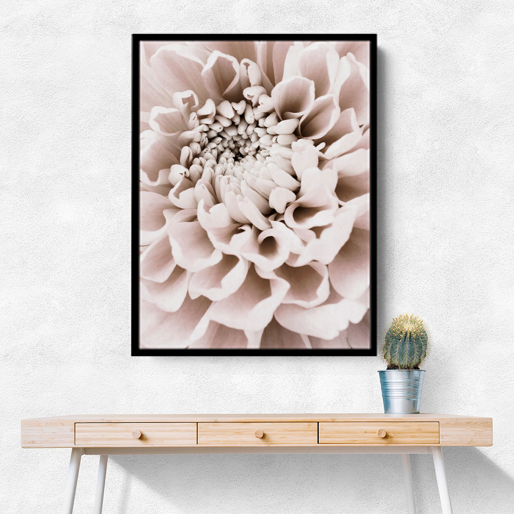 Chrysanthemum No 01 Chrysanthemum No 01