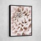 Chrysanthemum No 01 Chrysanthemum No 01