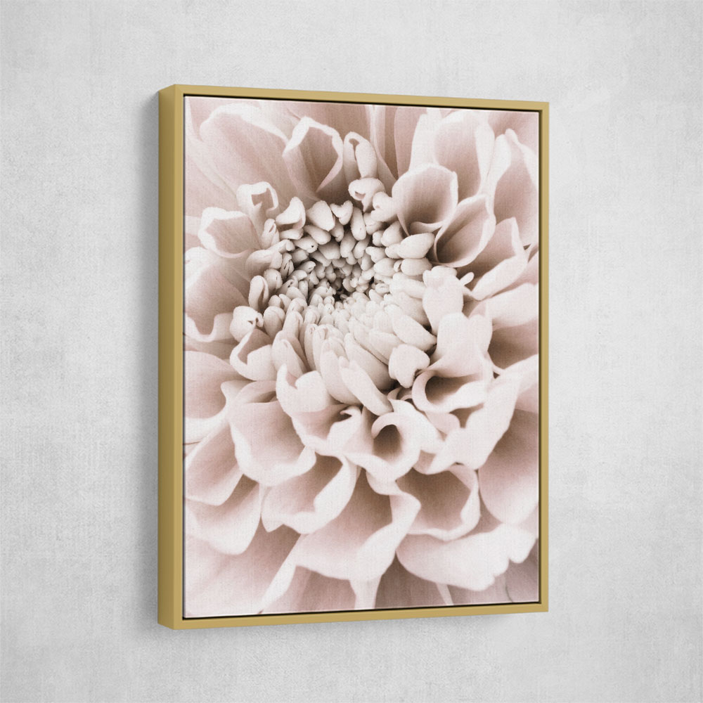 Chrysanthemum No 01 Chrysanthemum No 01