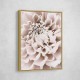 Chrysanthemum No 01 Chrysanthemum No 01