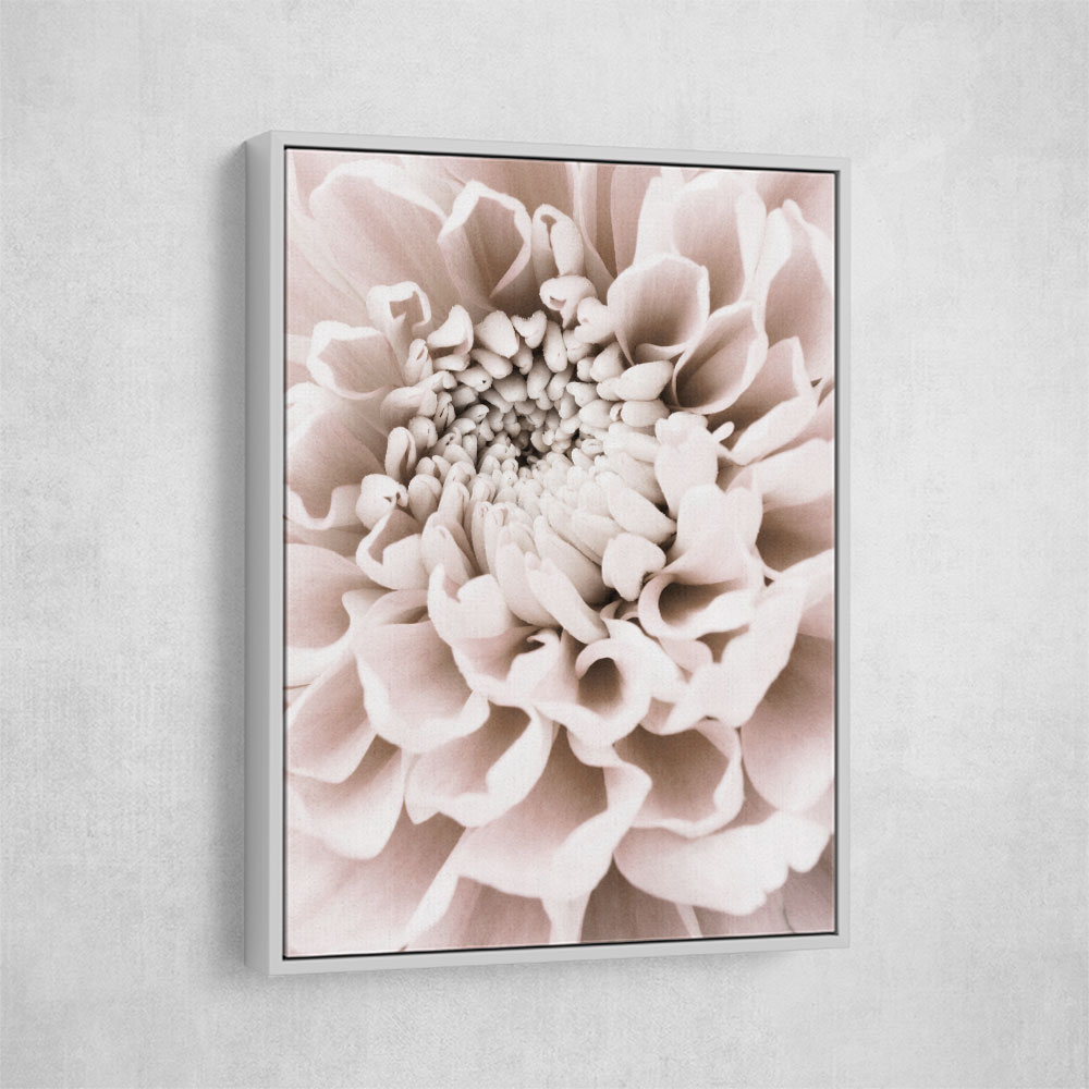 Chrysanthemum No 01 Chrysanthemum No 01