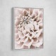 Chrysanthemum No 01 Chrysanthemum No 01