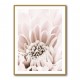 Chrysanthemum No 06
