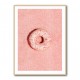 Pink Doughnut