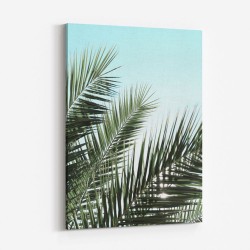 Palm leaves, sky 1