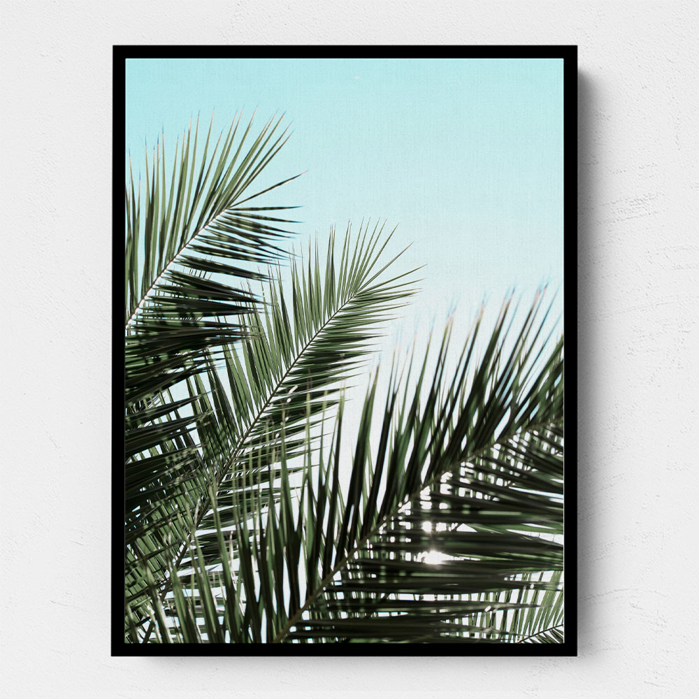 Palm leaves, sky 1