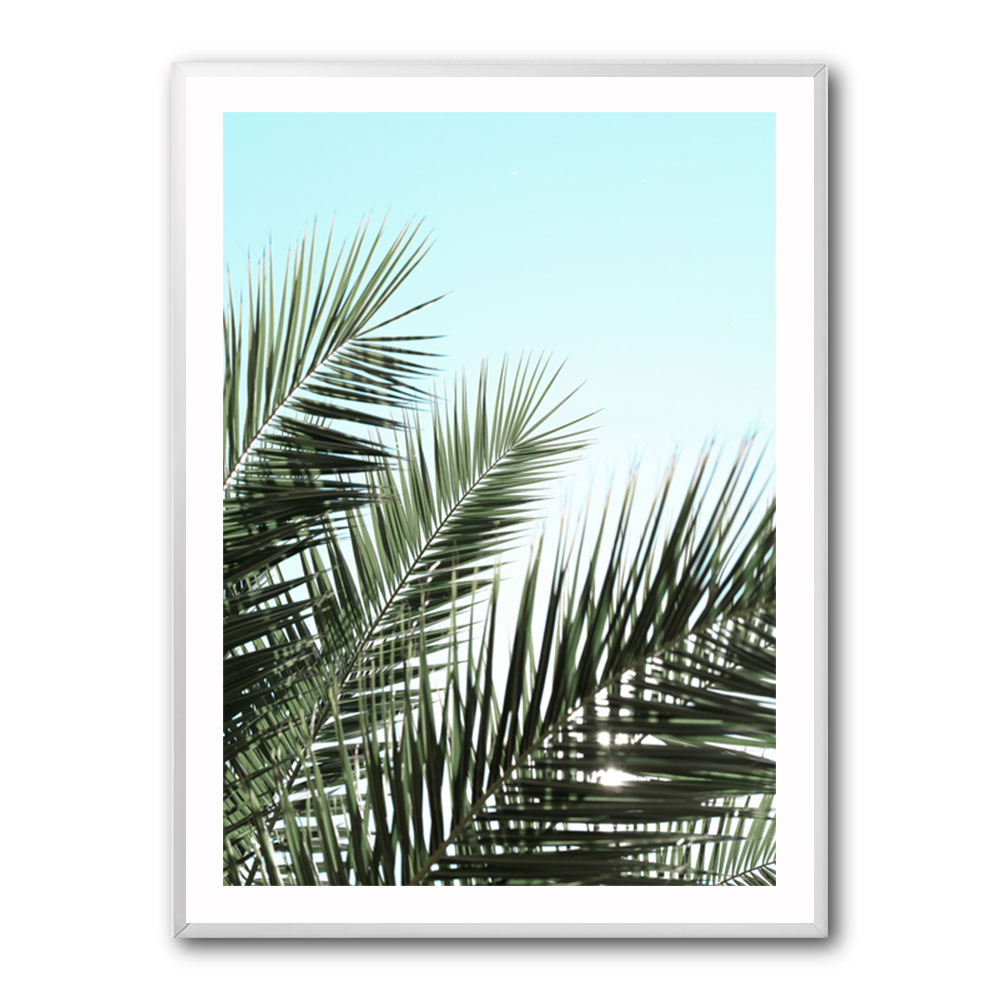 Palm leaves, sky 1