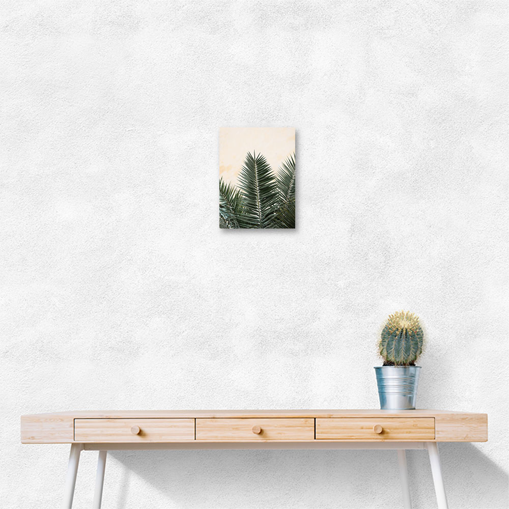 Palm leaves and wall 1