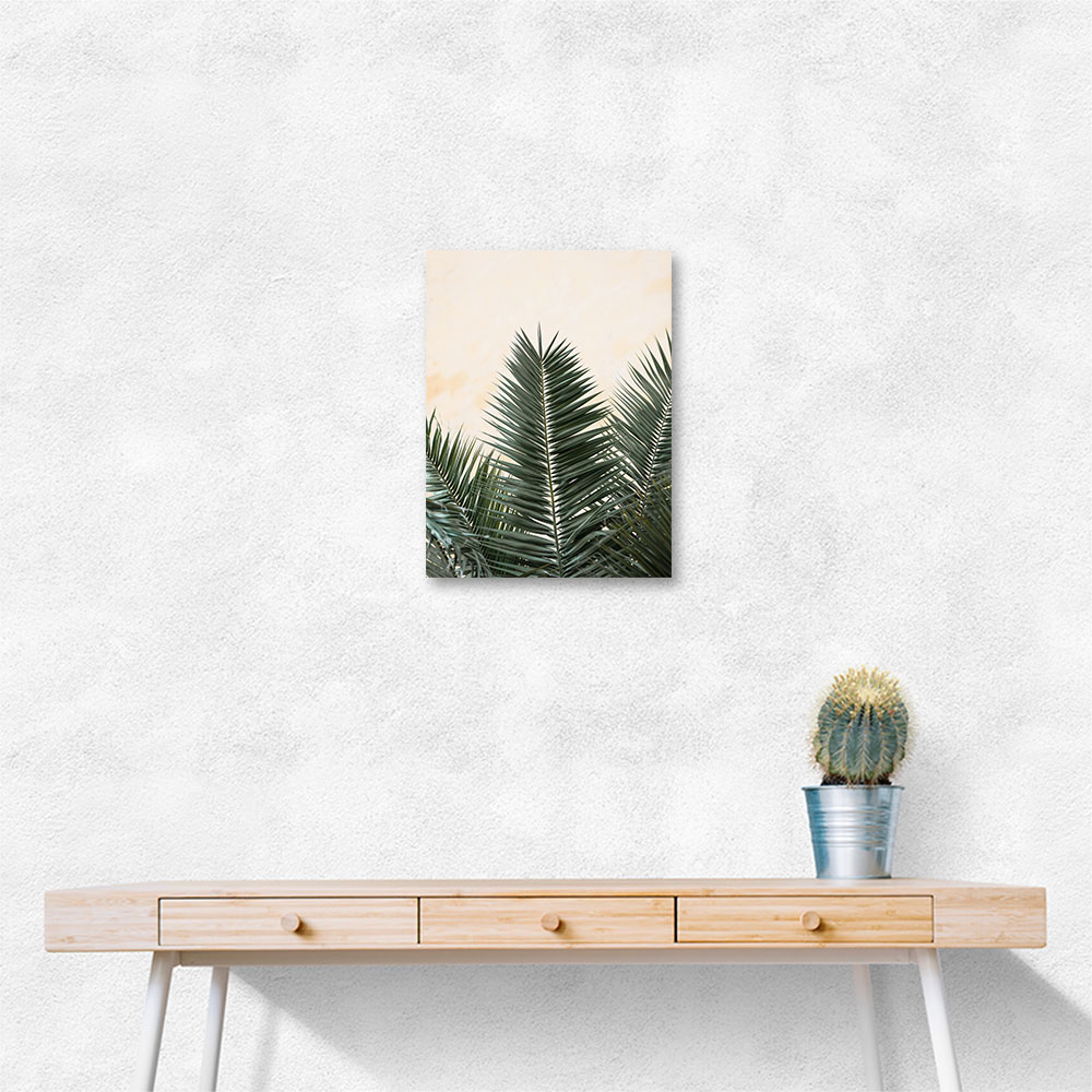 Palm leaves and wall 1