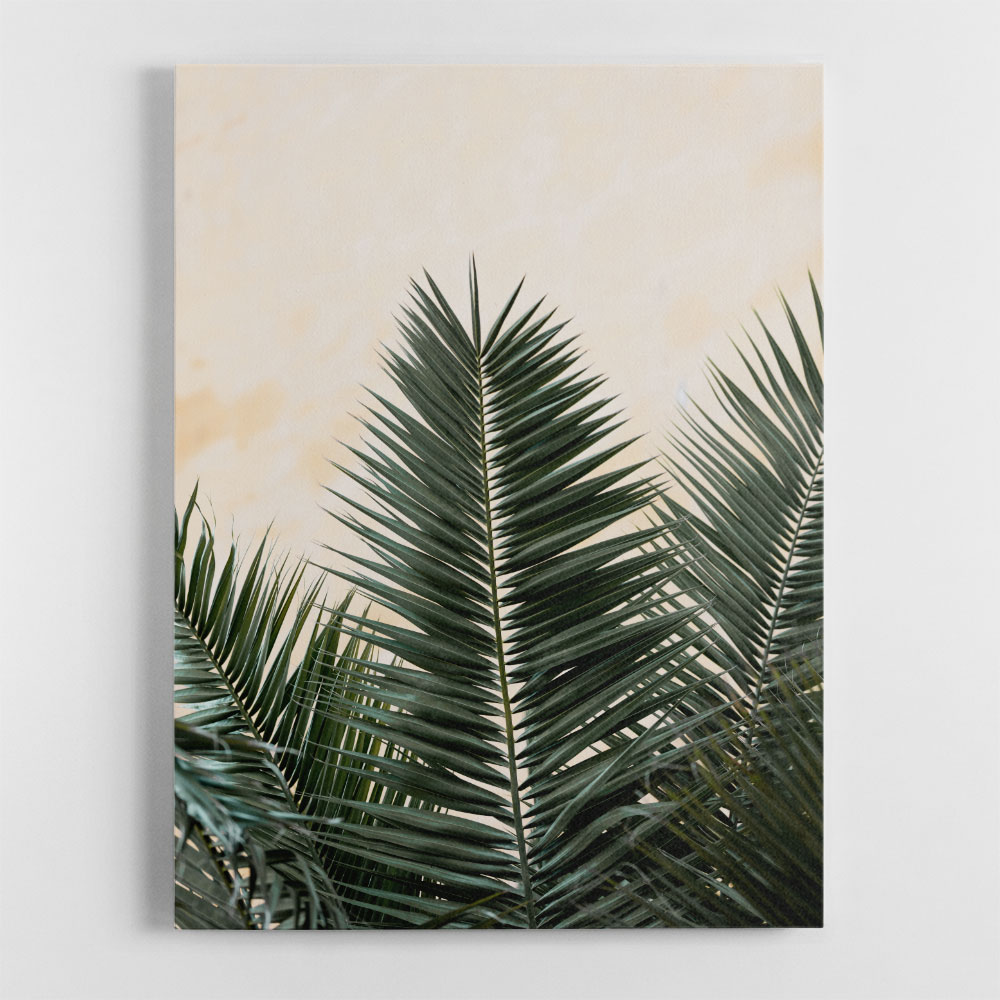 Palm leaves and wall 1