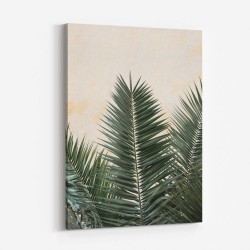 Palm leaves and wall 1