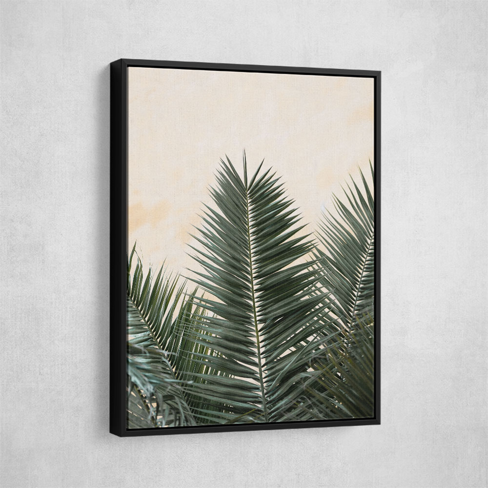 Palm leaves and wall 1