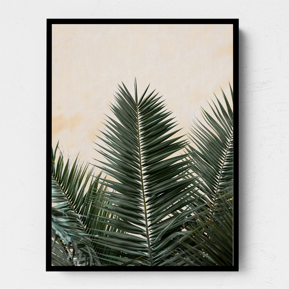 Palm leaves and wall 1