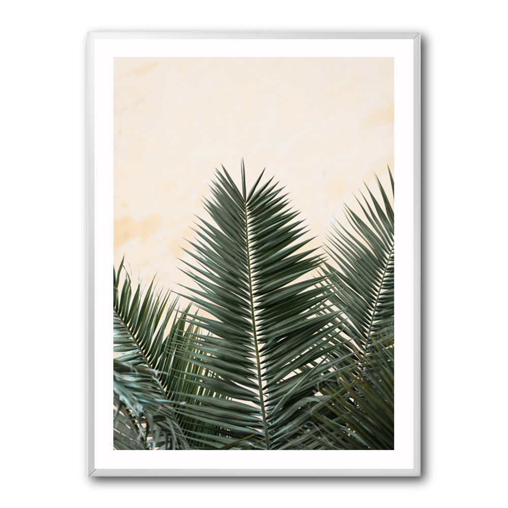 Palm leaves and wall 1 Palm leaves and wall 1