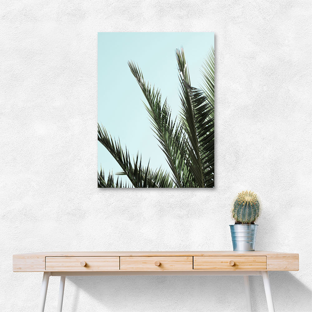 Palm leaves and sky 2