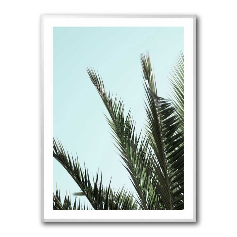 Palm leaves and sky 2