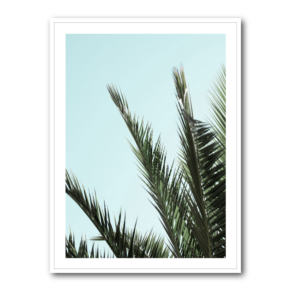 Palm leaves and sky 2