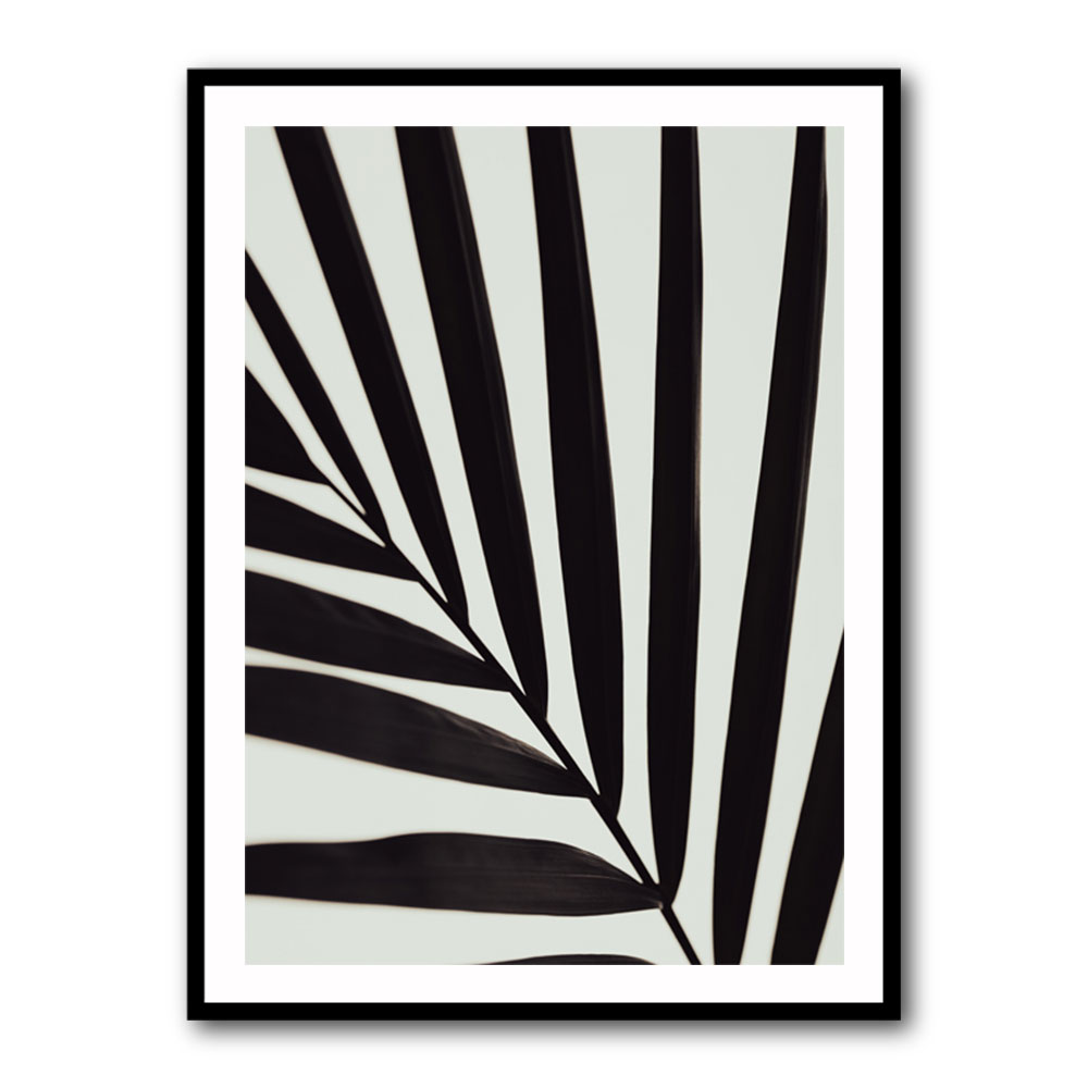 Graphic palm leaf 1