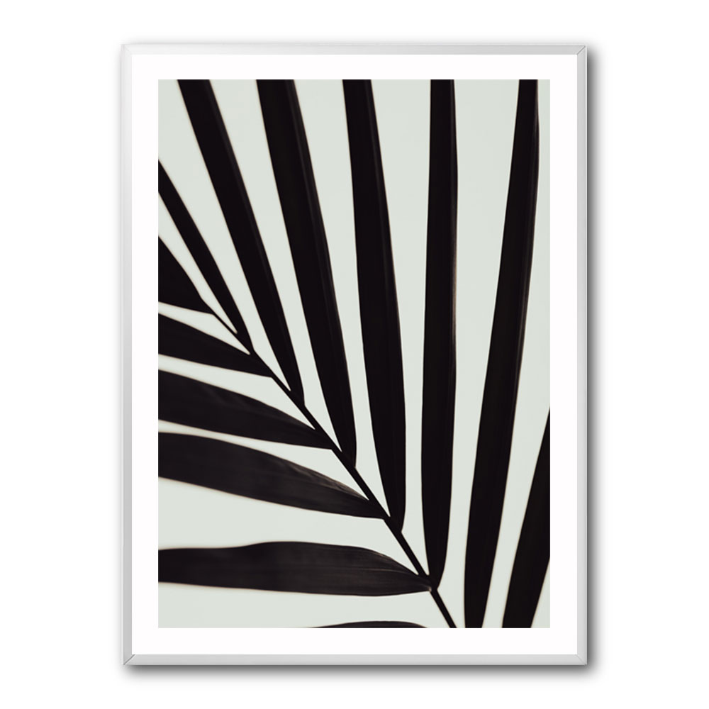 Graphic palm leaf 1