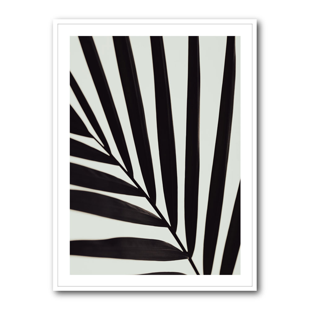 Graphic palm leaf 1